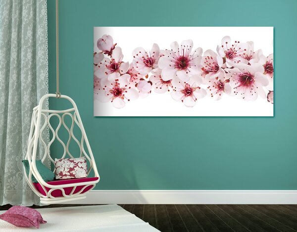 Stampa su tela – Fiori di ciliegio