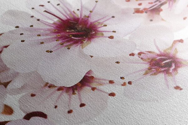 Stampa su tela – Fiori di ciliegio