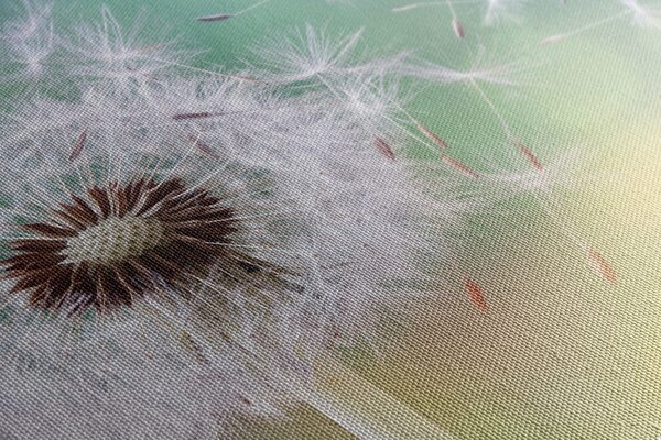 Stampa su tela – Soffione magico