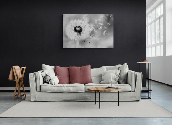 Quadro su tela – Soffione magico in bianco e nero