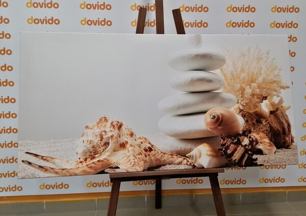Quadro su tela – Pietre Zen con conchiglie