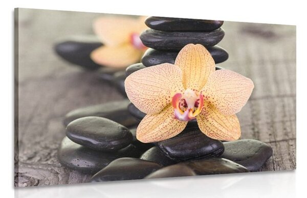 Quadro su tela – Orchidea gialla e pietre Zen