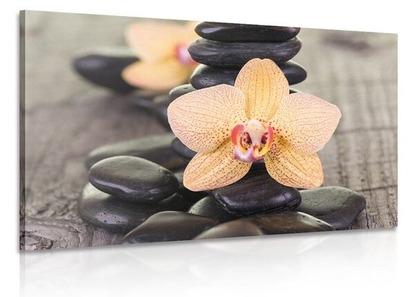 Quadro su tela – Orchidea gialla e pietre Zen