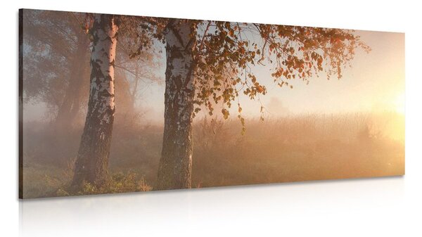 Quadro su tela – Foresta autunnale nebbiosa