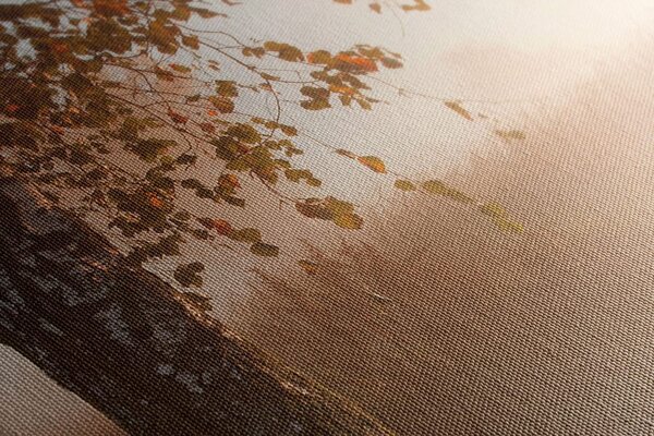 Quadro su tela – Foresta autunnale nebbiosa