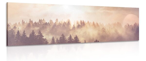 Stampa su tela – Nebbia sopra la foresta