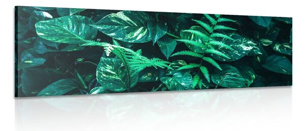 Quadro su tela – Foglie tropicali fresche