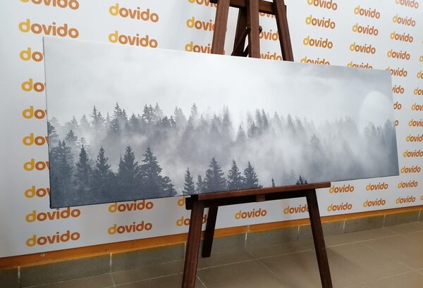 Quadro su tela – Nebbia sopra la foresta in bianco e nero