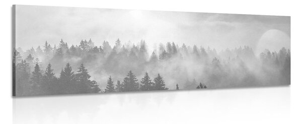 Quadro su tela – Nebbia sopra la foresta in bianco e nero