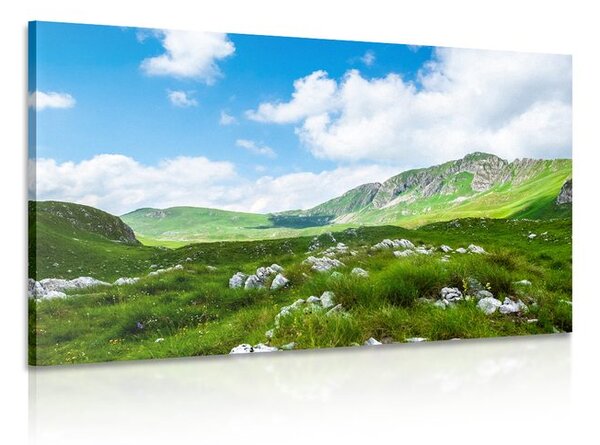 Stampa su tela – Valle in Montenegro