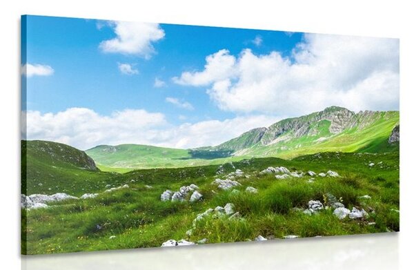 Stampa su tela – Valle in Montenegro