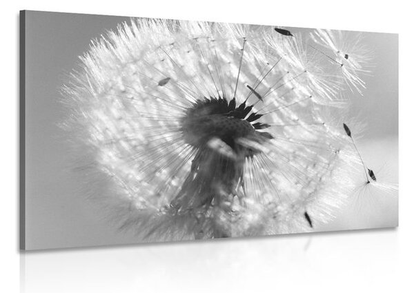 Quadro su tela – Dettaglio del soffione in bianco e nero