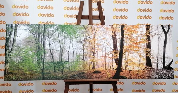 Stampa su tela – Quattro stagioni