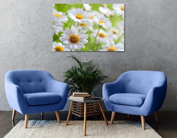Stampa su tela – Prato primaverile pieno di fiori