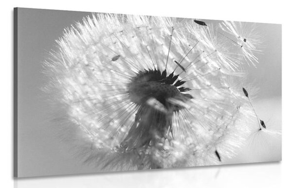 Quadro su tela – Dettaglio del soffione in bianco e nero
