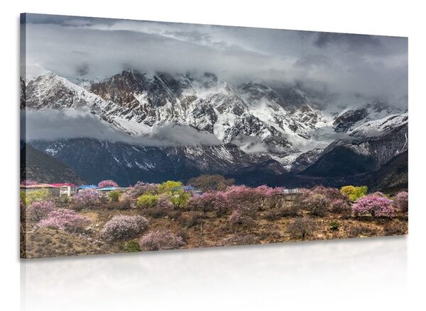Stampa su tela – Paesaggio montano unico