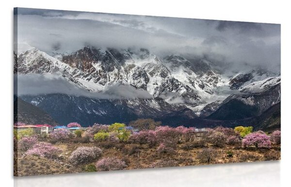 Stampa su tela – Paesaggio montano unico