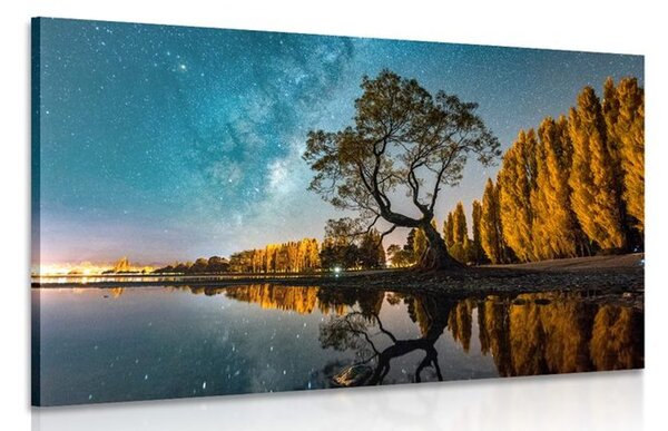 Quadro su tela – Albero sotto il cielo stellato