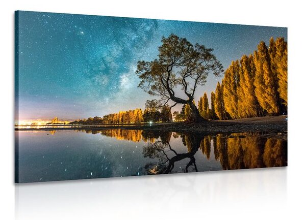 Quadro su tela – Albero sotto il cielo stellato