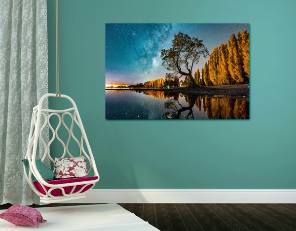 Quadro su tela – Albero sotto il cielo stellato