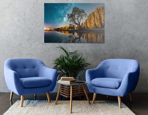 Quadro su tela – Albero sotto il cielo stellato