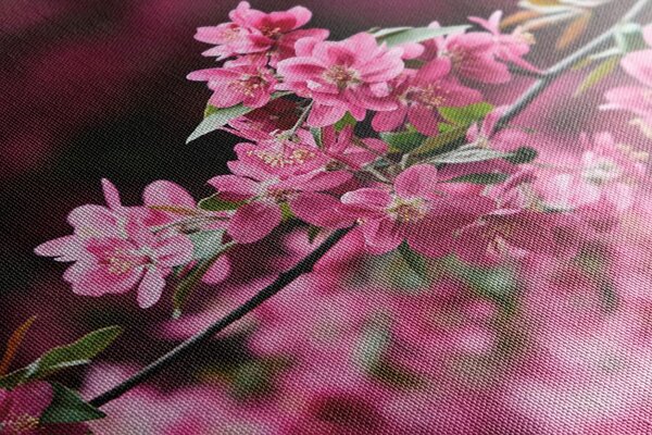 Stampa su tela – Dettaglio di fiori di ciliegio