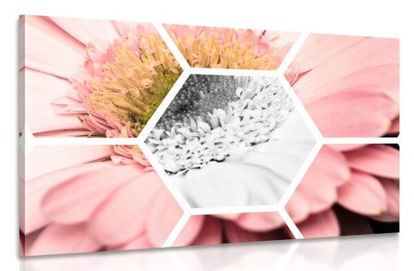 Quadro su tela – Gerbera in esagono