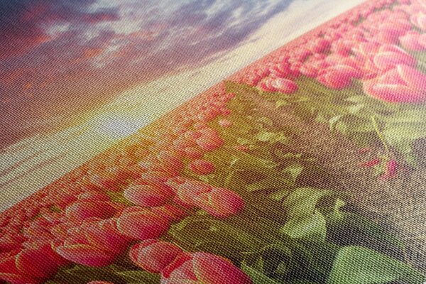 Stampa su tela – Alba sopra il prato con tulipani