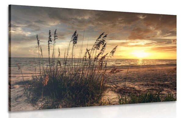 Quadro su tela – Tramonto sulla spiaggia
