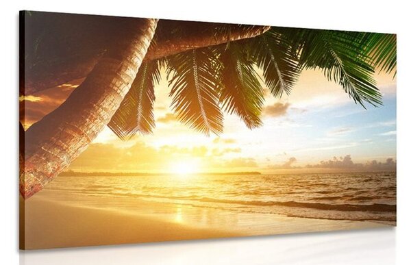 Quadro su tela – Alba sulla spiaggia caraibica