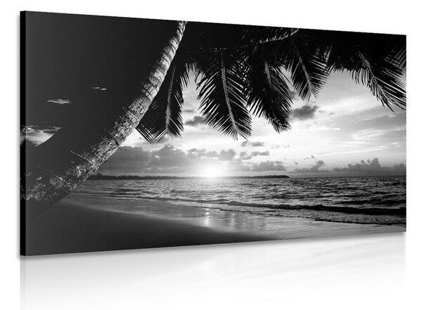 Stampa su tela – Alba sulla spiaggia caraibica in bianco e nero