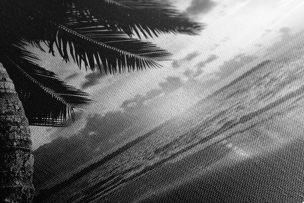 Stampa su tela – Alba sulla spiaggia caraibica in bianco e nero
