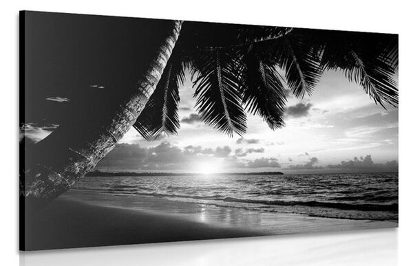 Stampa su tela – Alba sulla spiaggia caraibica in bianco e nero