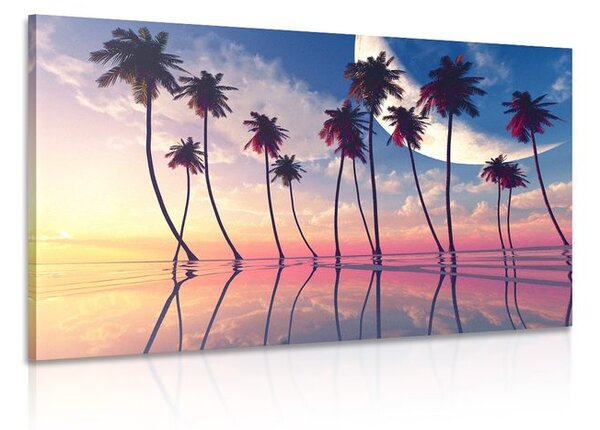 Stampa su tela – Tramonto sopra palme tropicali