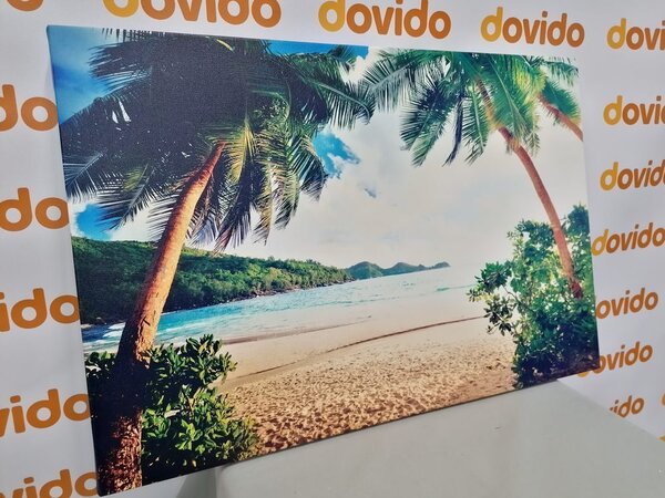 Quadro su tela – Tramonto sull'isola delle Seychelles