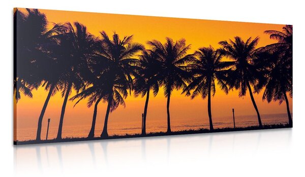 Stampa su tela – Tramonto sulle palme