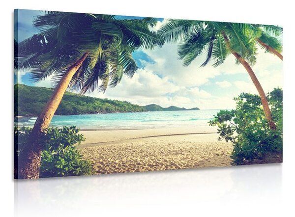 Quadro su tela – Tramonto sull'isola delle Seychelles