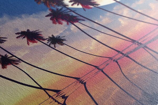 Stampa su tela – Tramonto sopra palme tropicali