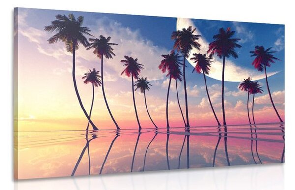 Stampa su tela – Tramonto sopra palme tropicali
