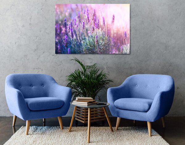 Quadro su tela – Fiori magici di lavanda