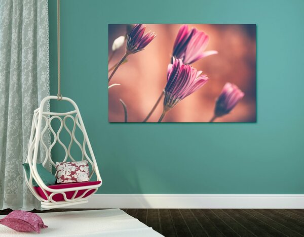 Stampa su tela – Margherite rosa delicate