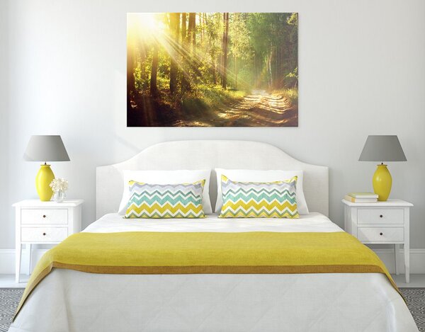 Quadro su tela – Raggi di sole nella foresta