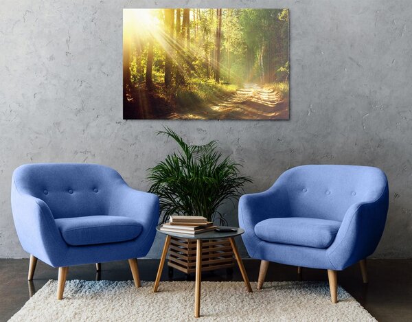 Quadro su tela – Raggi di sole nella foresta
