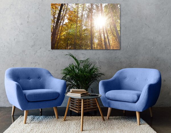 Quadro su tela – Foresta nei colori autunnali