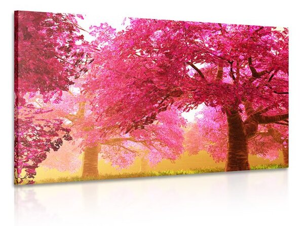 Quadro su tela – Magici alberi di ciliegio in fiore