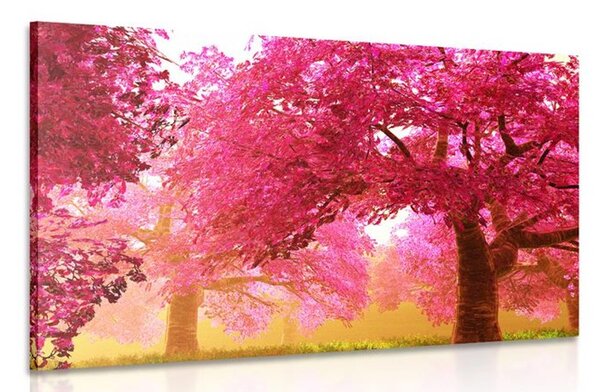 Quadro su tela – Magici alberi di ciliegio in fiore