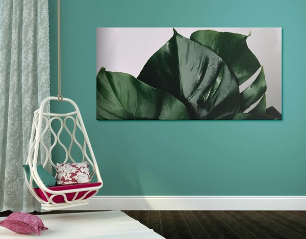 Quadro su tela – Foglia di monstera