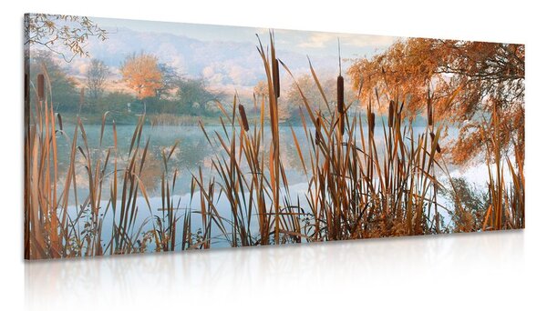 Quadro su tela – Fiume nel mezzo della natura autunnale