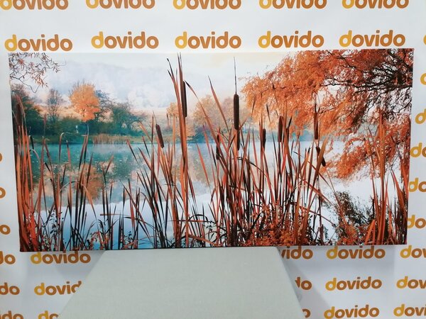 Quadro su tela – Fiume nel mezzo della natura autunnale