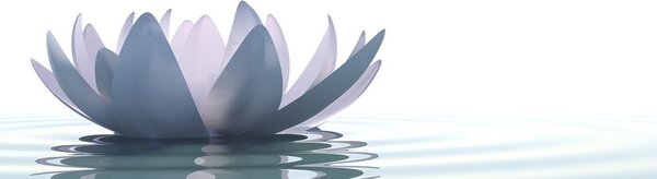 Stampa su tela – Fiore di loto